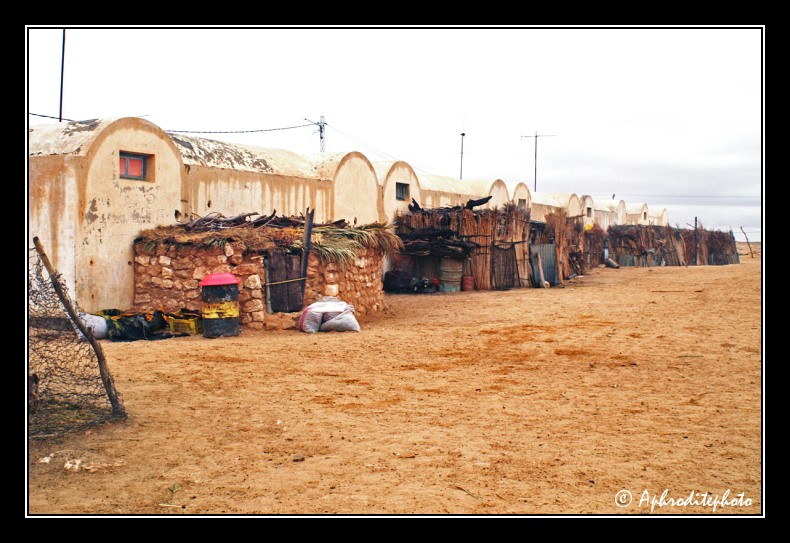 062 Habitations et enclos a betail de Bordj El Khadra